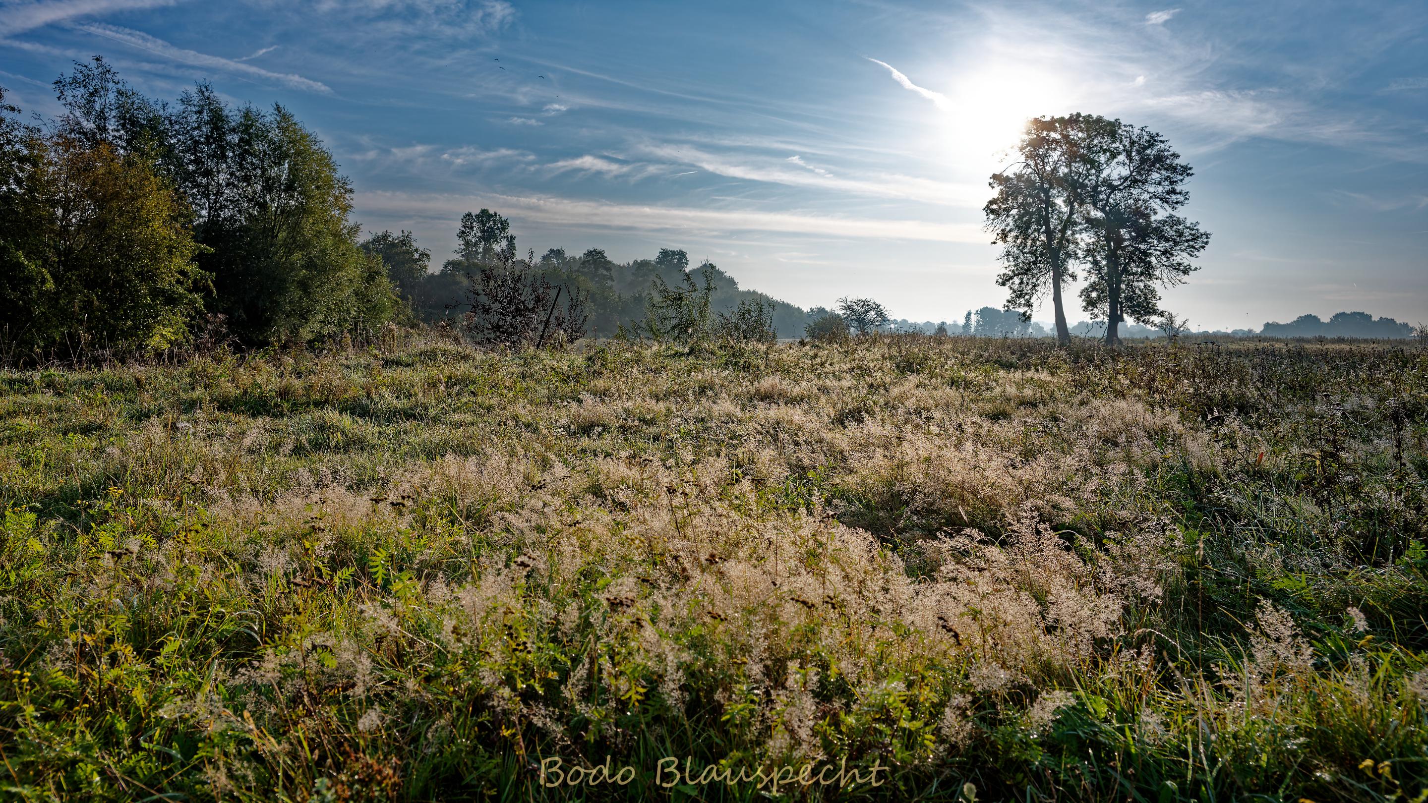 Landschaft   Steveraue   2023.09.27 08.43 48 HQ